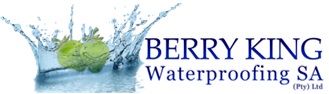 DarkSky Digital Client Logo Berry King Waterproofing 001